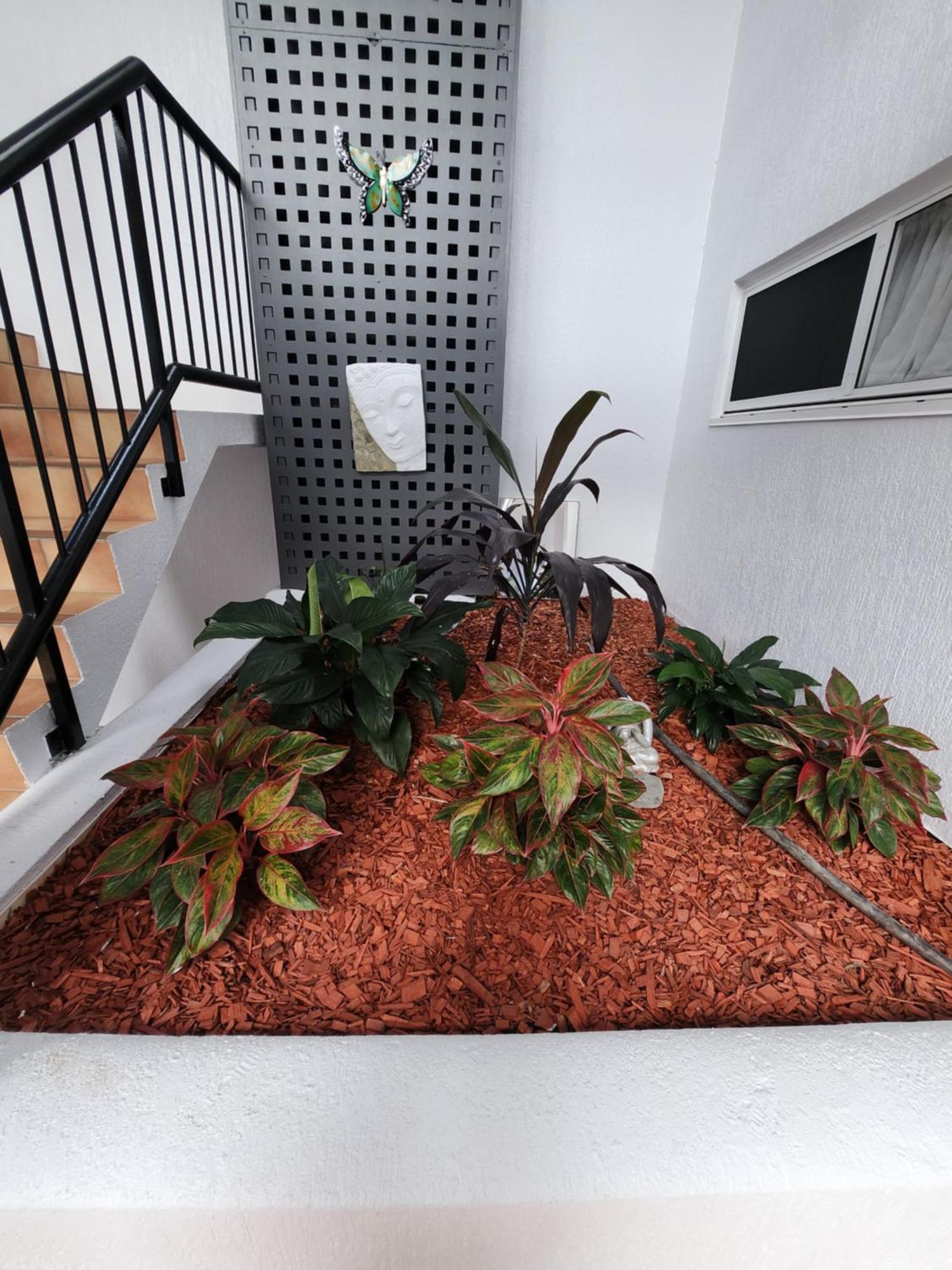 Villa Vaucluse Apartments Cairns Exterior foto